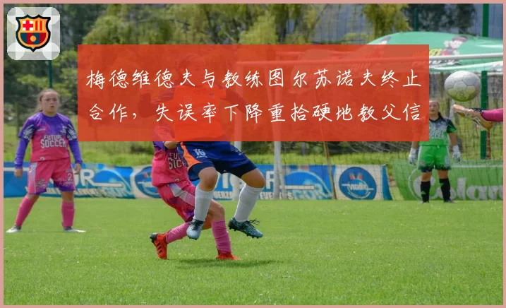 梅德维德夫与教练图尔苏诺夫终止合作，失误率下降重拾硬地教父信心
