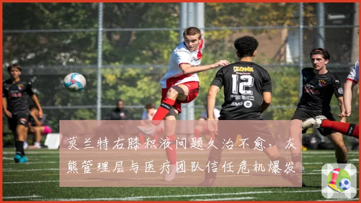 莫兰特右膝积液问题久治不愈，灰熊管理层与医疗团队信任危机爆发